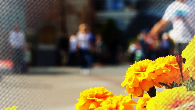 A vendre - Appartement - OULLINS (69600) - 5 pièces - 111m²