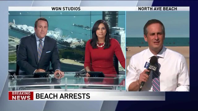 Robbery Suspect Arrested After Trying to Hide from Police in Lake Michigan