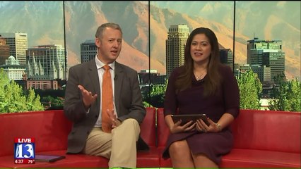 Bull Runs Loose in Utah After Escaping Veterinarian's Office