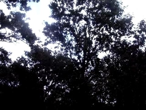 video dirt bike 250cc