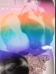 Domus Aventina forever