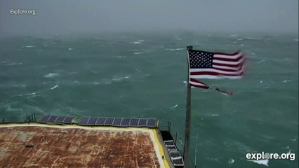 Furacão Florence começa a atingir a costa leste dos EUA