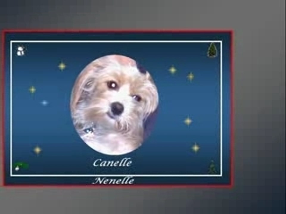 Meilleur voeux 2007-2008