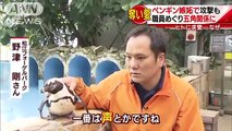 ペンギン嫉妬で攻撃も　職員めぐり“五角関係”に・・・