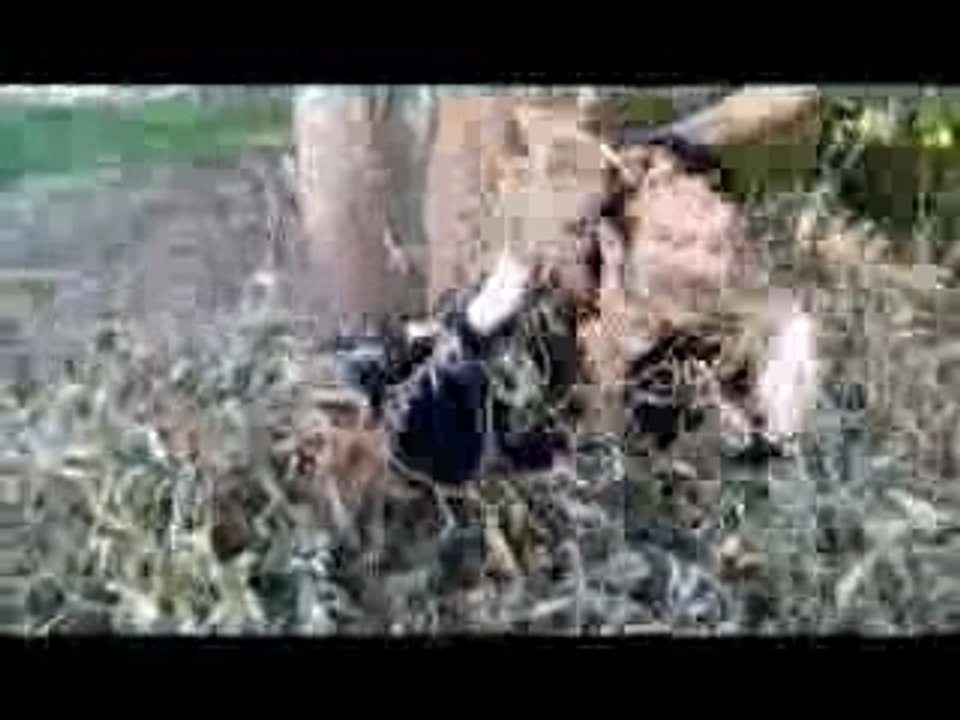 Linkin Park - In The End- Cinémerde