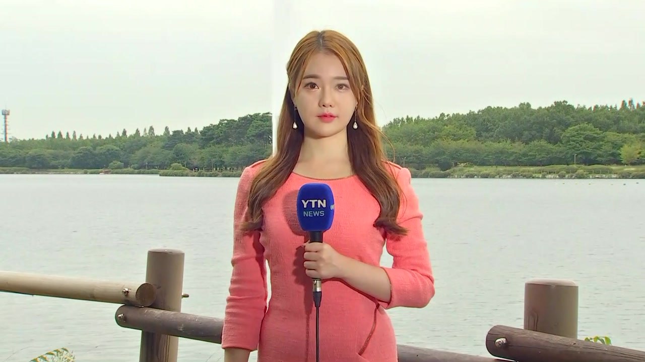 [날씨] 흐리고 비 내리며 선선...내일 아침까지 전국 비 / YTN