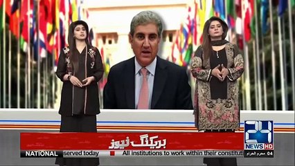 Foreign Minister Shah Mehmood Qureshi flew on a special plane despite austerity claims