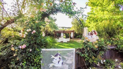 I racconti della Domus Aventina