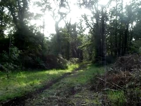 dirt bike 250cc skud