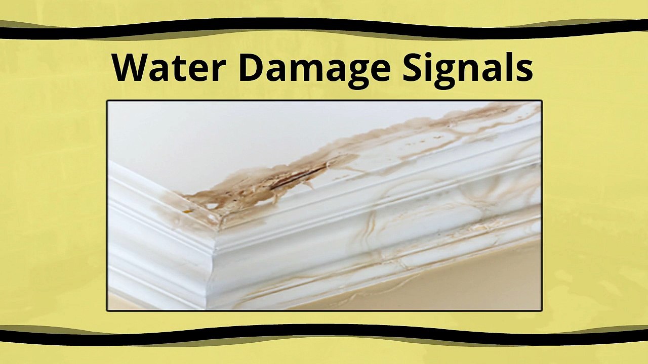 Water Damage Signals