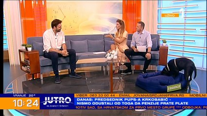 IVAN BOSILJČIČ O ULOZI DOKTORA NEMANJE ARSIČA: Prebio je pacijenta nasmrt i posle tih batina dobro sam se razmislio!