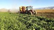 Tarım Ürünleri Üretici Fiyat Endeksi, Ağustos Ayında Bir Önceki Aya Oranla %1,91 Artış Gösterdi