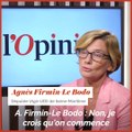 Agnès Firmin-Le Bodo (Agir-UDI) : «Nous ne sommes pas inaudibles, nous avons trouvé notre équilibre»