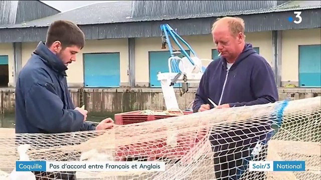 Coquille : pas d’accord entre Français et Anglais