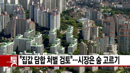 [YTN 실시간뉴스] "집값 담합 처벌 검토"...시장은 숨 고르기 / YTN