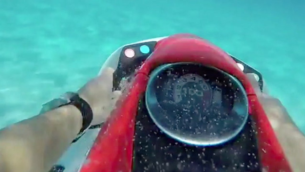 Can We Try The SeaBob, Please?