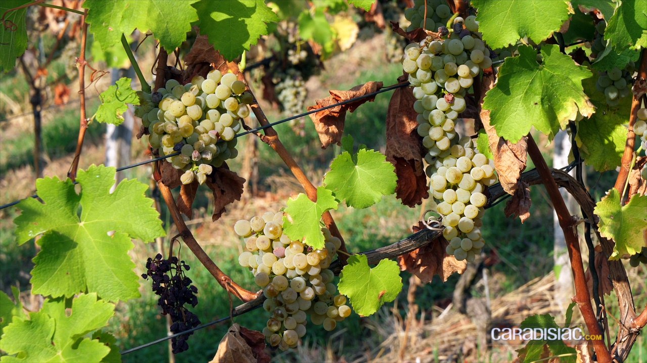 Essai - Mitsubishi Outlander restylé PHEV (2019) : une petite rallonge