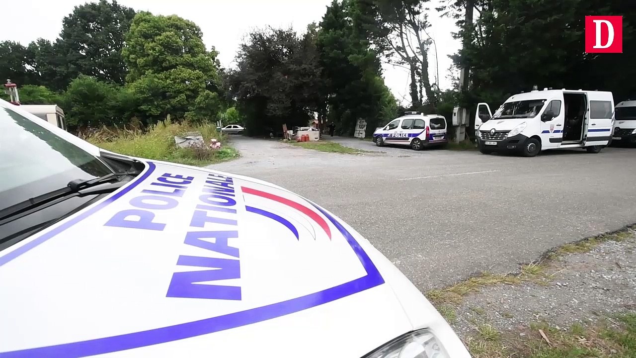 173 pieds de cannabis découverts à Ibos