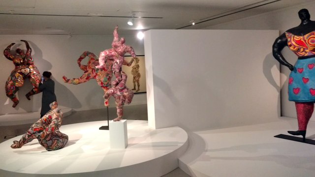 Mons Expo Nikide Saint Phalle .Video 2 Eric Ghislain