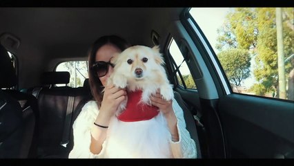 Date with boyfriend + Final Furniture Shopping