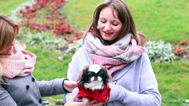 18 TRUCS POUR VOS ANIMAUX DE COMPAGNIE SUPERS ASTUCES POUR LES CHATS ET LES CHIENS