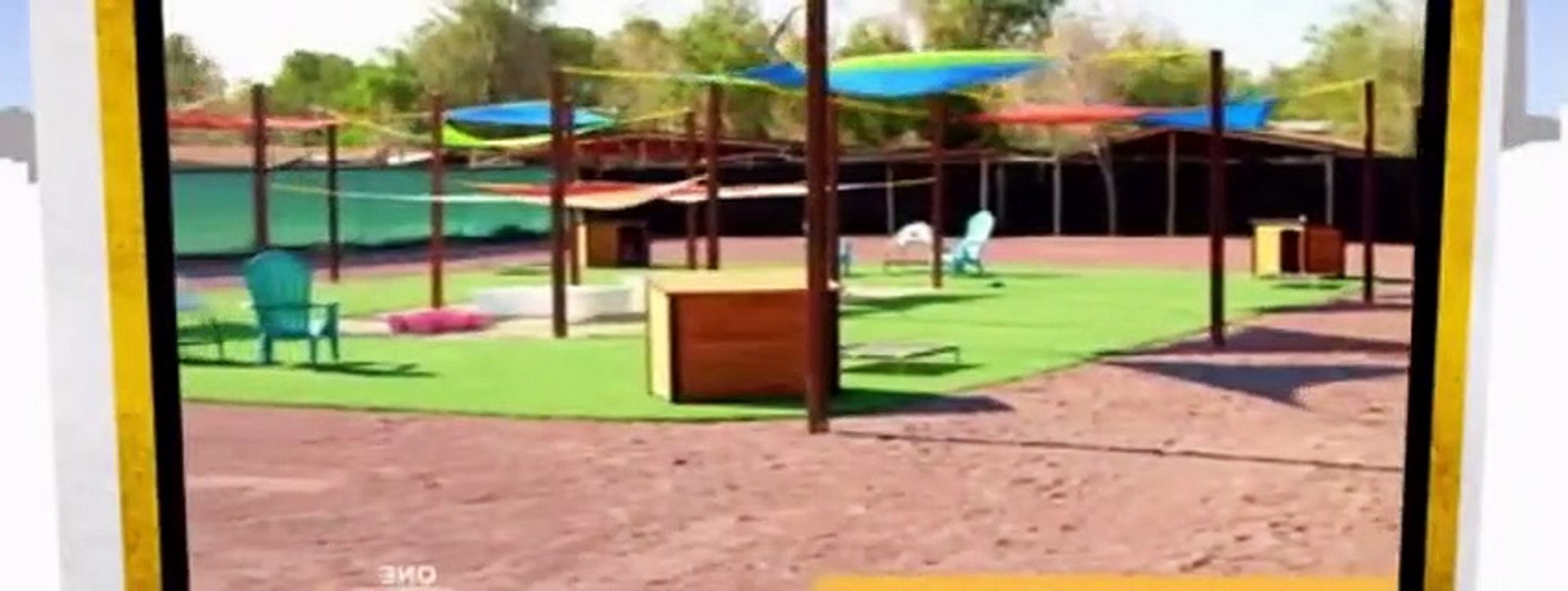 Save Our Shelter S02E17