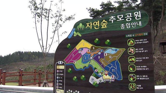 산림조합, 전국 3번째 공공 '숲 추모공원' 개장 / YTN