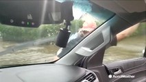 AccuWeather storm chaser Reed Timmer assists Cajun Navy in dozens of water rescues in North Carolina