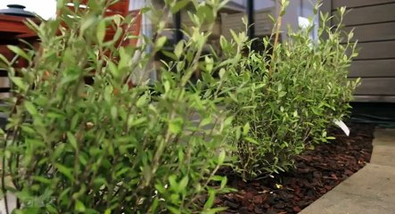 The Block NZ S05 - Ep41  41 -. Part 02 HD Watch