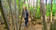 Grand Designs S09e13 The Woodsmans Cottage Sussex Revisited