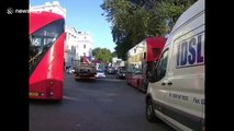 Private hire car going wrong way around Hyde Park Corner crashes into lorry