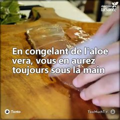Saviez-vous que les propriétés du gel d'aloe vera disparaissent lorsque vous le stockez ? La solution ? Le congeler.