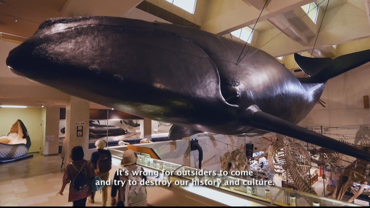 Japanese whale hunters' perspective revealed in documentary