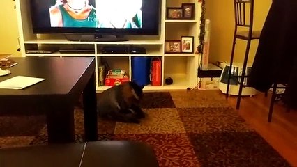 TOP 100 FUNNY ANIMALS of 2018 | Try Not To Laugh Challenge March / April | Funniest Pet Videos