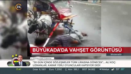 Büyükada'da vahşet görüntüsü