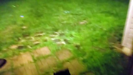 Crazy dog loves running around in heavy storm