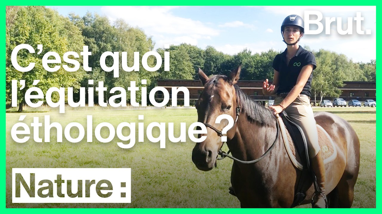 C'est quoi l'équitation éthologique ?