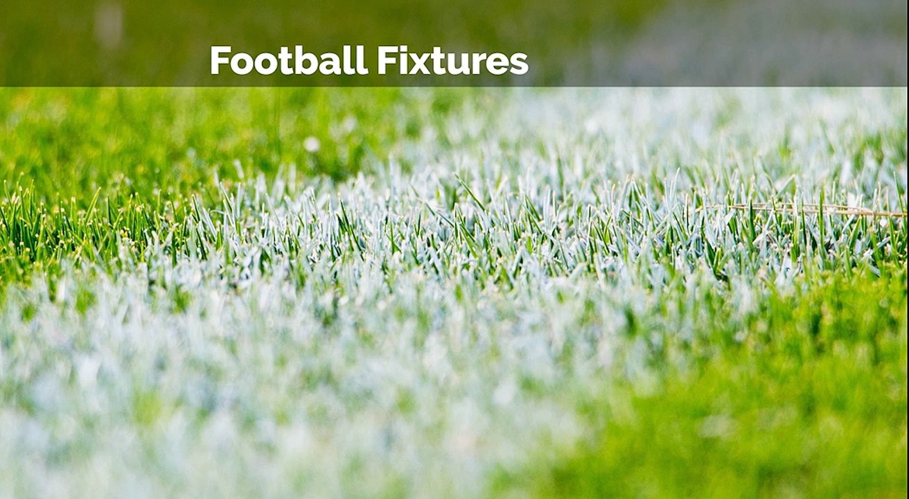 Wasps Host Leicester