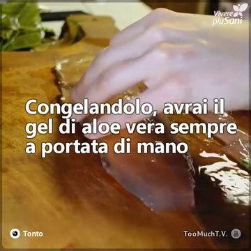 Sapevi che il gel di aloe vera perde potere ed efficacia quando lo conservi? La soluzione? Congelarlo