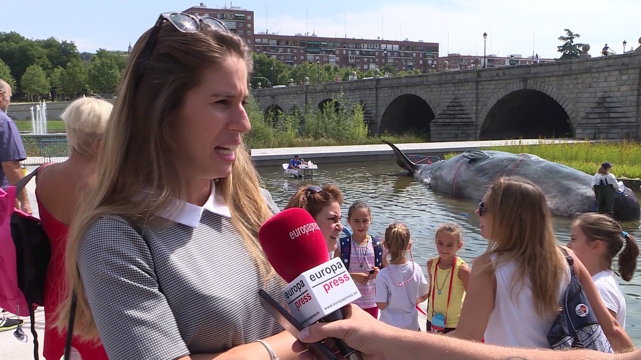 Un cachalote aparece varado en el Manzanares