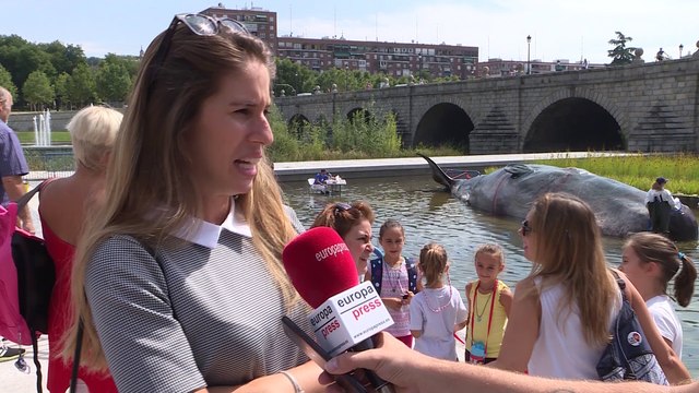Un cachalote aparece varado en el Manzanares