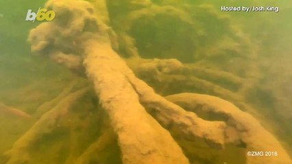 Torpedo Net Purportedly Put Down to Defend Against Potential WWII Luftwaffe Attack Found in Reservoir