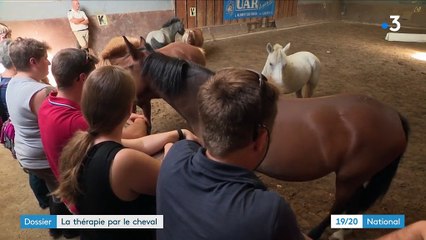 Thérapie : de l'équitation pour des blessés de guerre