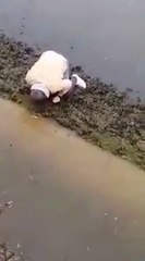 Il voulait juste récupérer sa carte bleue tombée à l'eau