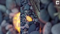 Ce guide trouve une pierre luminescente magnifique sur la plage