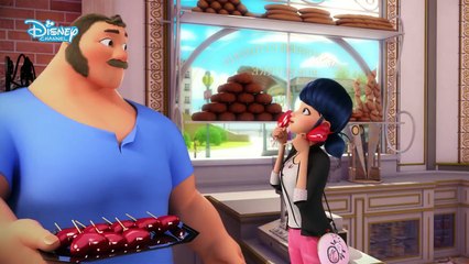 Teoriile Fanilor - Tatăl | Miraculous Buburuza și Motan Noir | Disney România