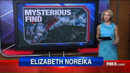 Possible Human Remains Found in Fire Pit at Missing Woman's Home