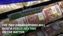 FDA and USDA to Debate Future of Lab-Grown Meat