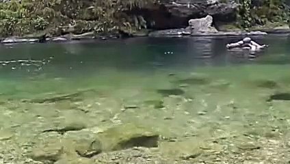 Fishing on the Water, What Is This Doing-