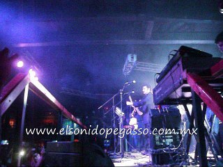 HOMENAJE A FREDMAN POR PEGASSO - TONTO CORAZON